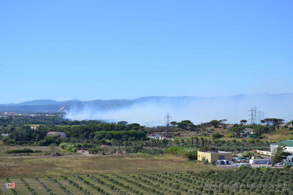 15H06 1.JPG - 15H06 1